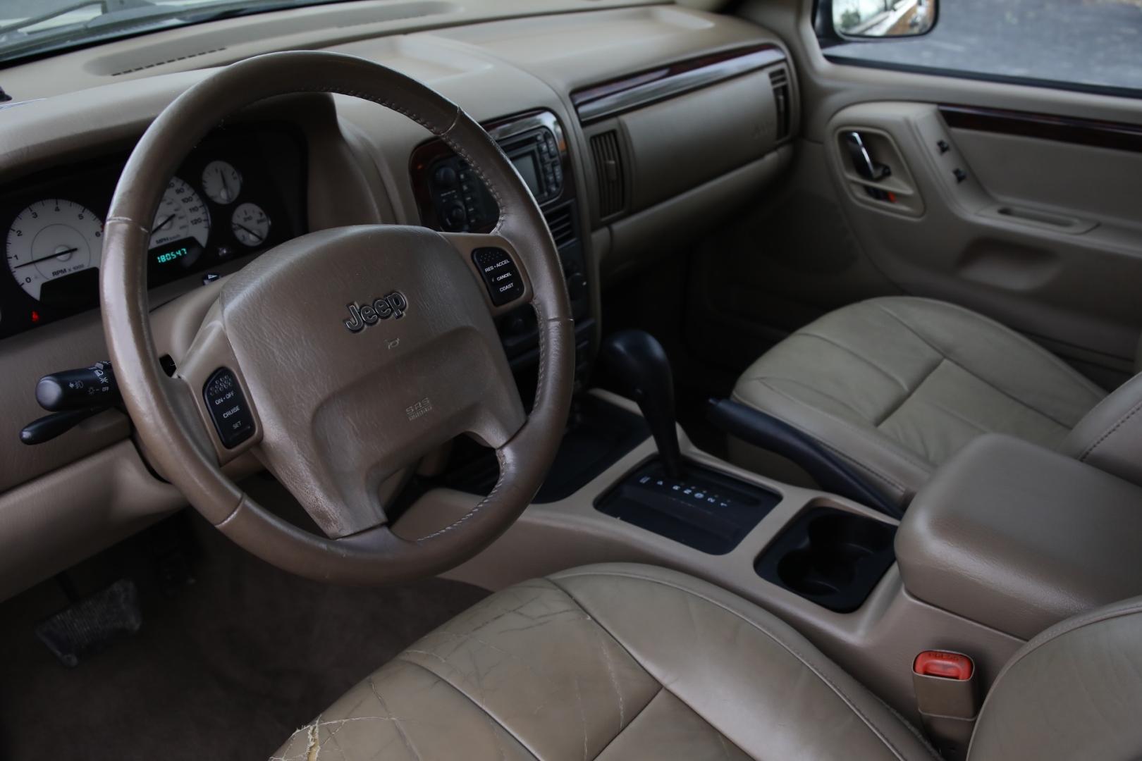 2004 PURPLE JEEP GRAND CHEROKEE Limited 2WD (1J8GX58N44C) with an 4.7L V8 SOHC 16V engine, 4-SPEED AUTOMATIC OR 5-SPEED AUTOMATIC transmission, located at 420 E. Kingsbury St., Seguin, TX, 78155, (830) 401-0495, 29.581060, -97.961647 - Photo#7